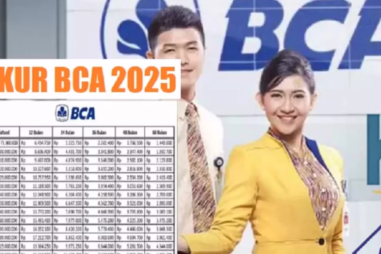 Inshot 20250216 123725078 853075826
