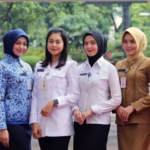 Pakaian dinas pns dan pppk