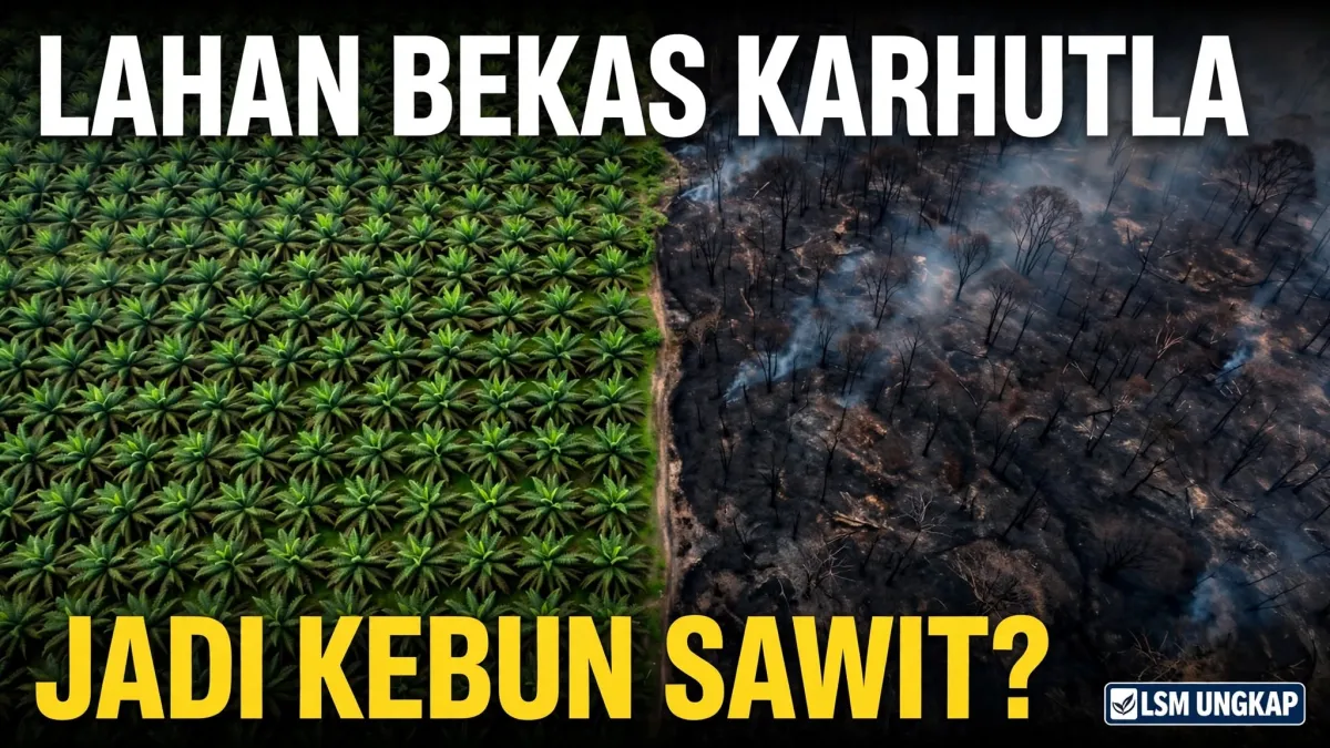 Lahan Bekas Karhutla Menjelma Kebun Sawit dan Akasia, LSM Ungkap Pola Sistematis - Prabowo Perintahkan Usut Tuntas Korporasi